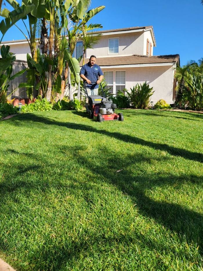 Javier providing weekly lawn maintenance