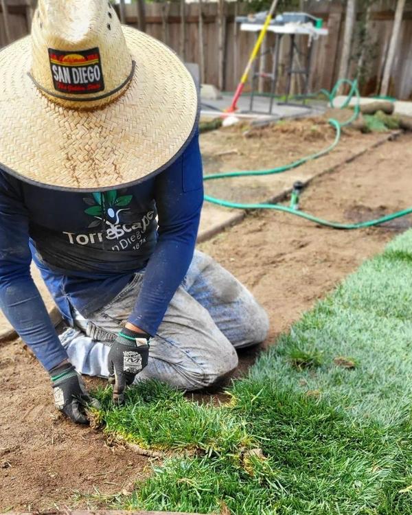 Close-up of crew member laying sod by hand
